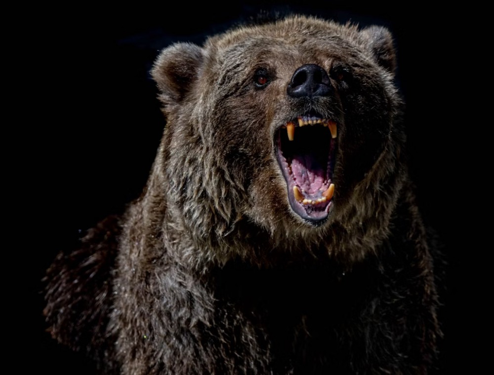 対ヒグマ専用武器