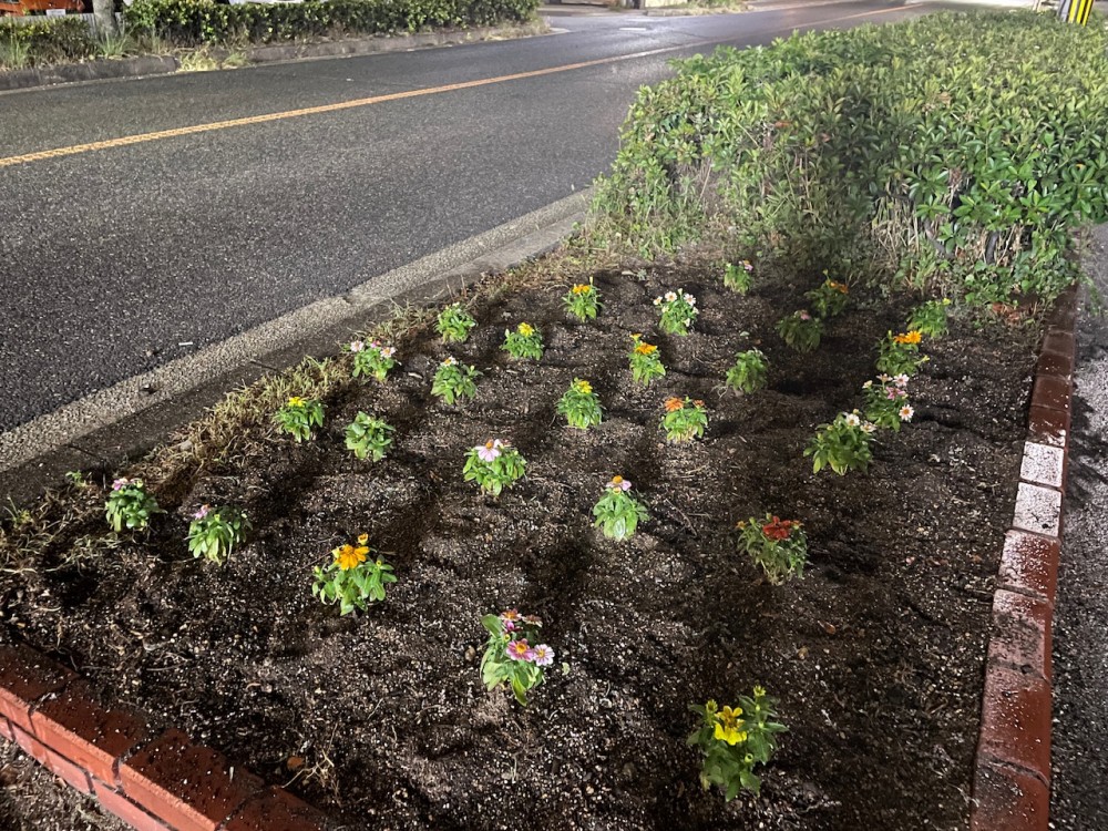 花を植えました