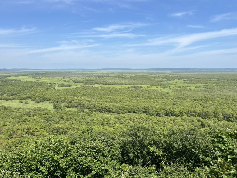 飛鳥(あすか)の語源